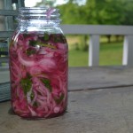 Pickled Red Onions