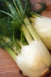 Grapefruit and Fennel Salad with Ginger-Wasabi Dressing