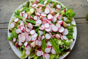 Grilled Salmon over Asparagus, Radish, Baby Red Potatoes and Mixed Greens
