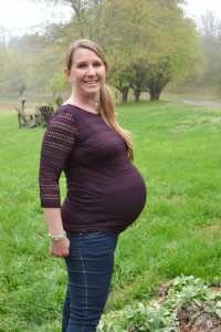 Eight Sixty Maria Maternity Scoop Neck Eyelet Trim Knit Top
